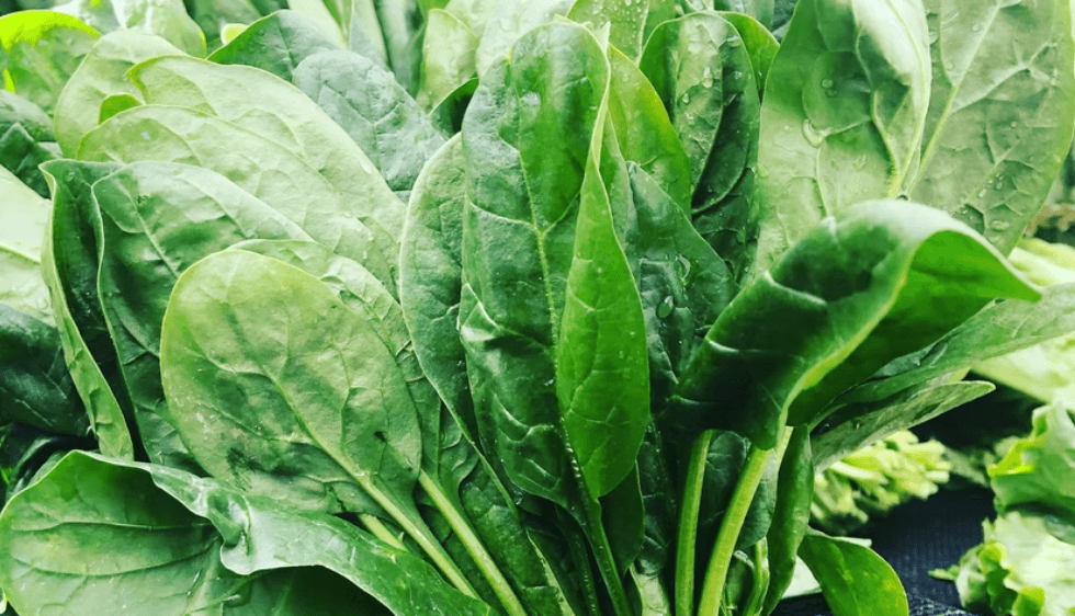 8 Ways to Upgrade Health Fast with Leafy Greens