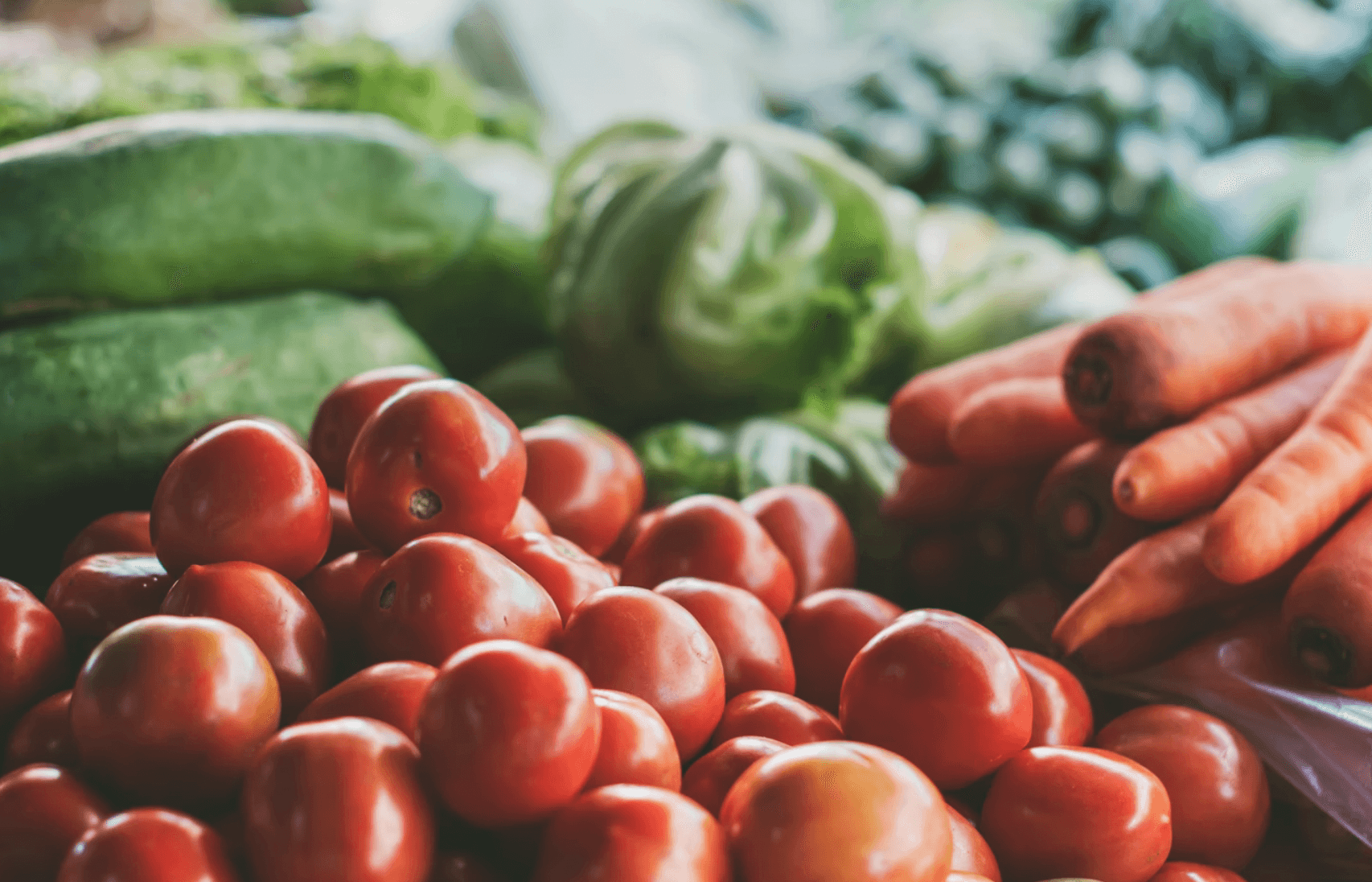 5 Things to Know About Cultivating Your Gut Diversity to Upgrade Your Health