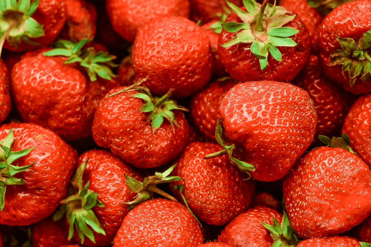 5 Thoughts on Fisetin, the Anti-Aging Flavonoid