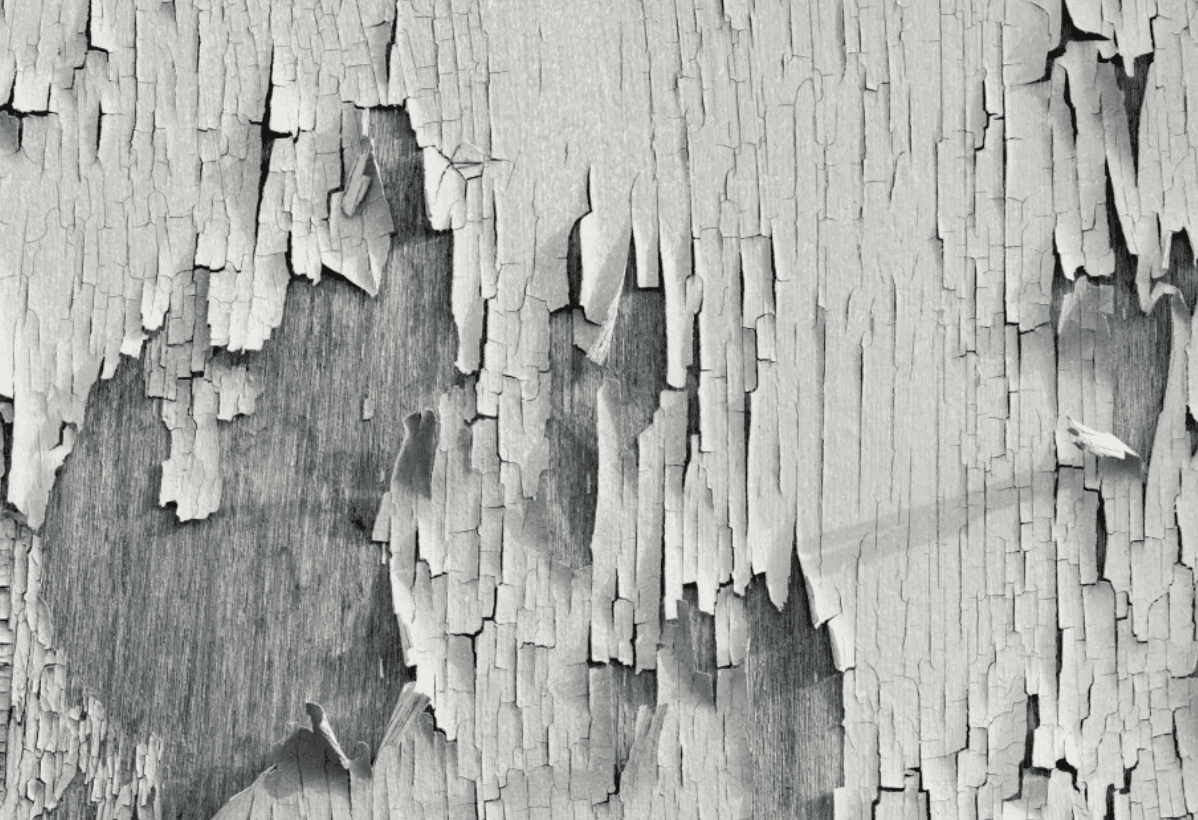 Unlocking Longevity: Delving into the 12 Hallmarks of Aging (Part 1)