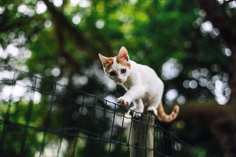 12 Ways to Balance Your Hormones for Optimal Health
