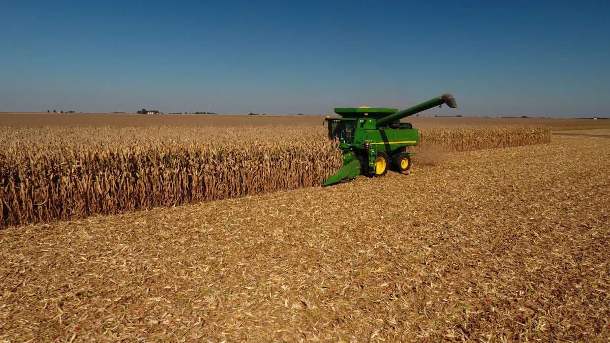 Safe, Not Sorry: 5 Health-Saving Reasons Why You Need to Embrace the Precautionary Principle and Ditch GMOs