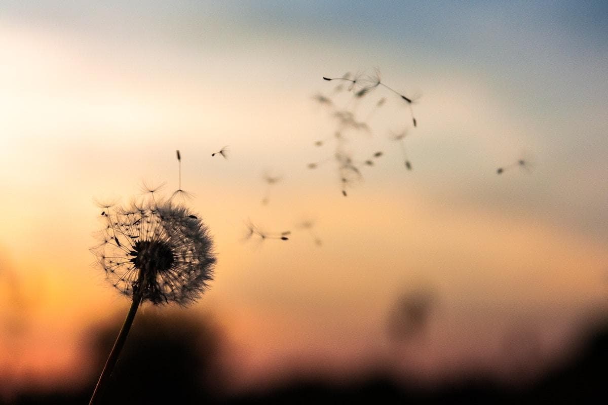 4 Fantastic, Fast-Acting Stress Fighters